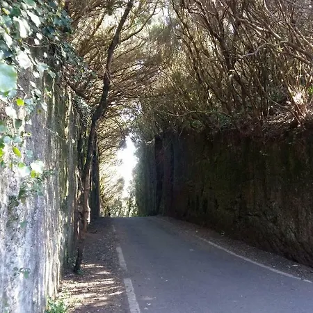 Estudio Molinos La Laguna (Tenerife)